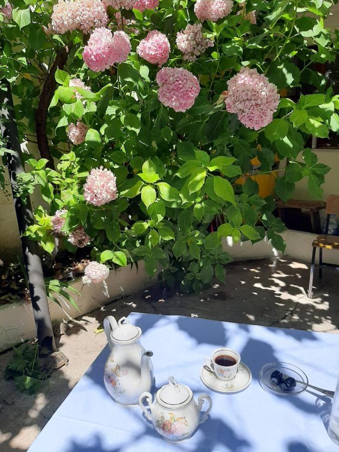 Vrenjo Guesthouse Gjirokastër Екстериор снимка